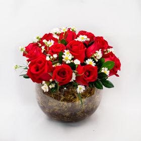 Arranjo de 20 Rosas Vermelhas em Aquário de Vidro